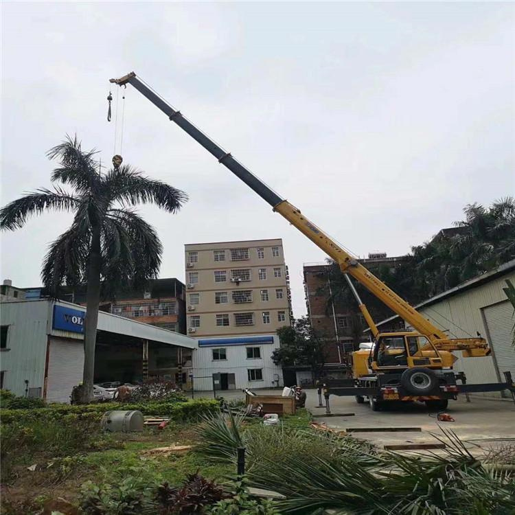 大悟汽车吊出租多少钱？全面解析与市场行情